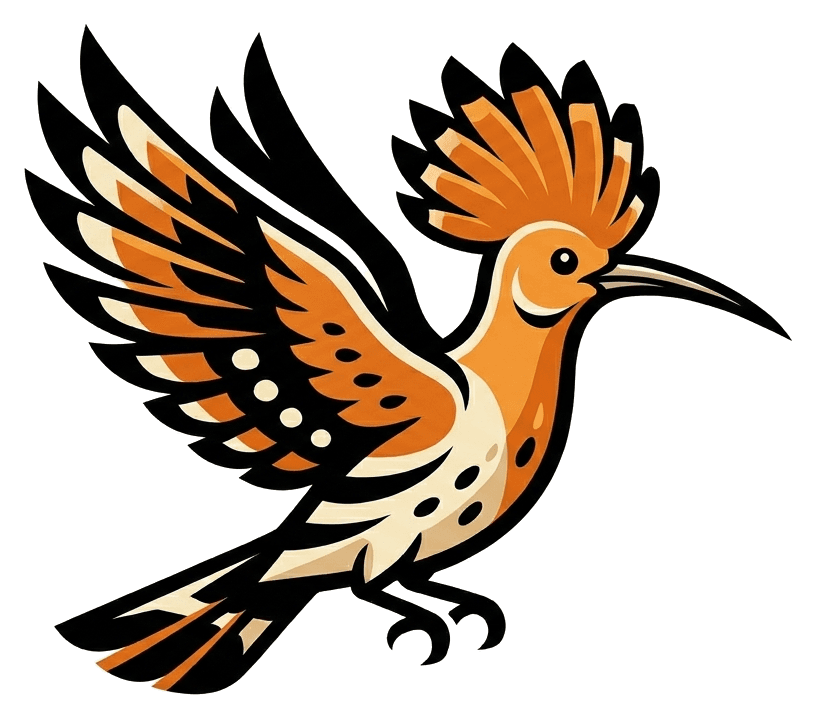 Houdhoud, the hoopoe